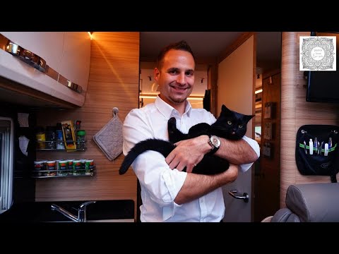 Kater saves the life of full-time camper Christoph - from burnout to van life