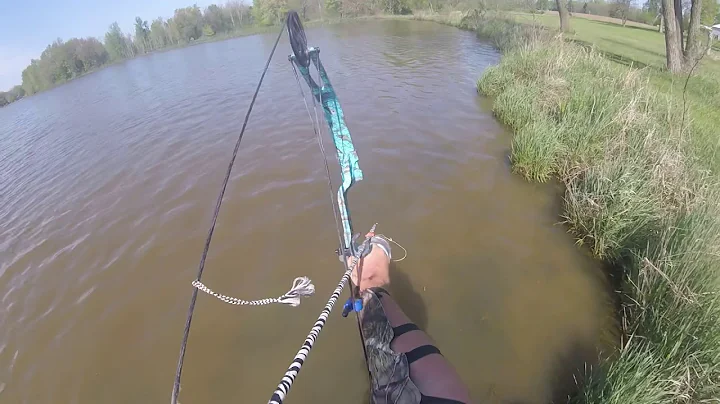 Ridinger Lake bow hunting carp