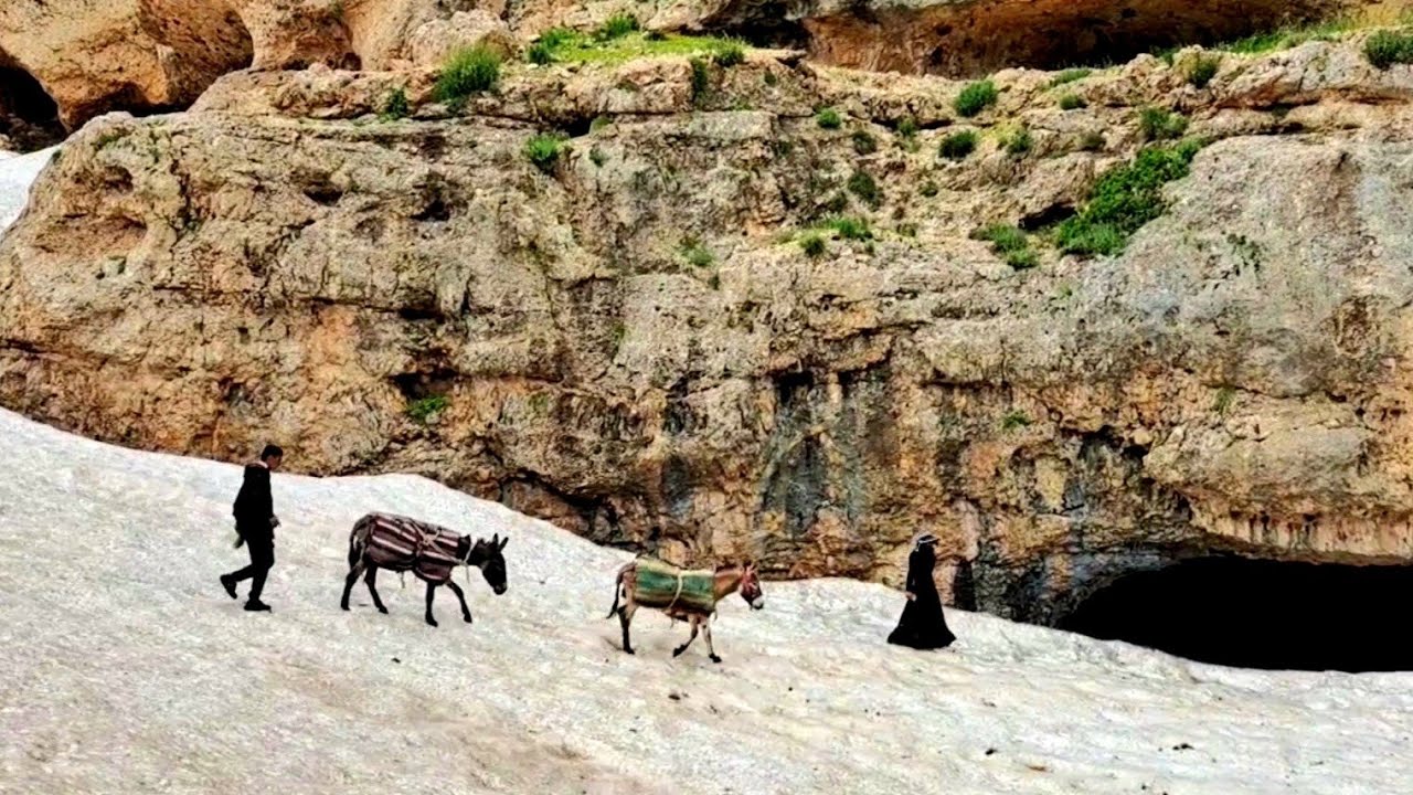 Carrying food for the nomadic family and crossing long and difficult ...
