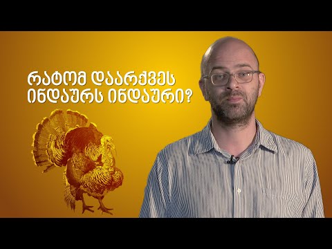 რატომ დაარქვეს ინდაურს ინდაური?