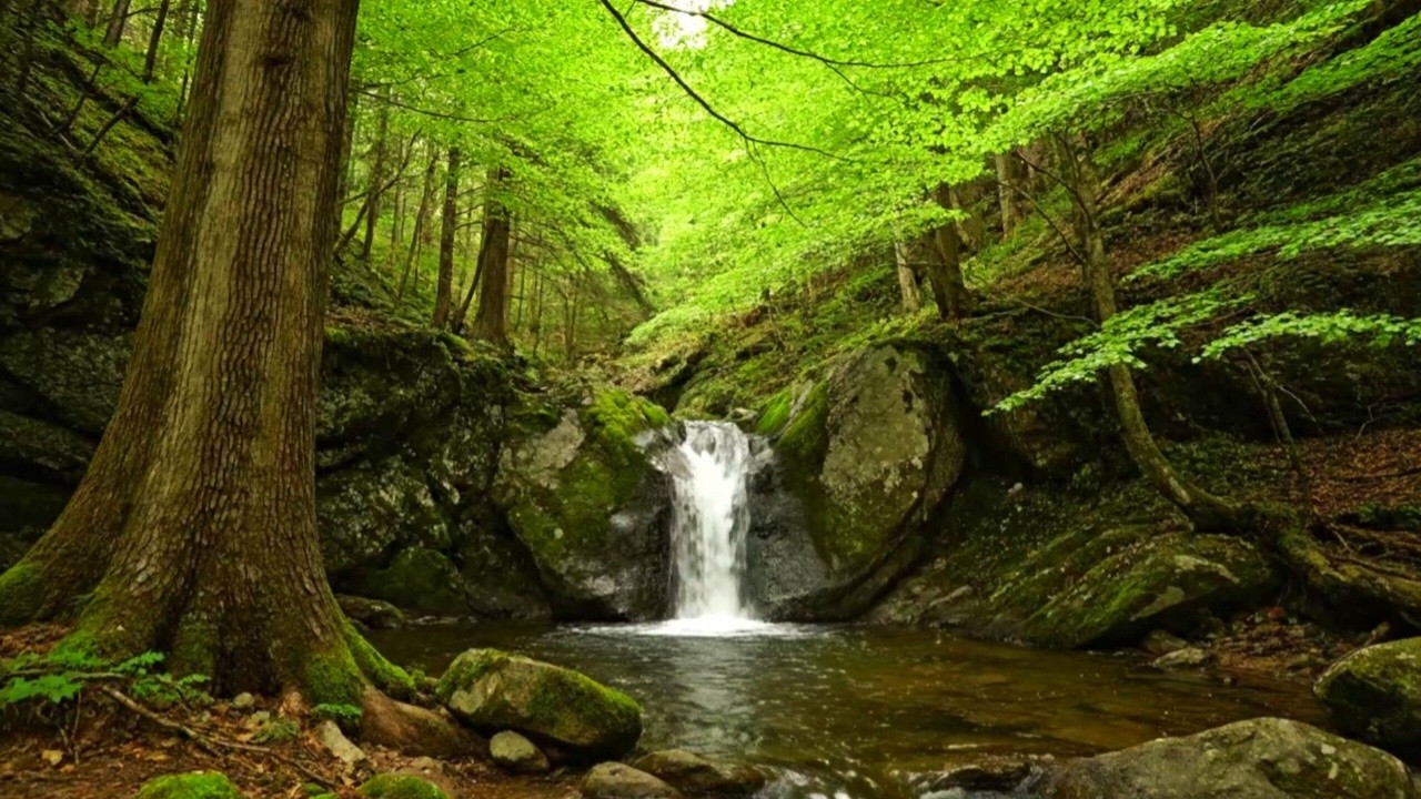 NATURAL FLOWING RIVER SOUNDS FOR RELAXATION, SLEEP, STUDY AND INSOMNIA RELIEF | NIGHT SOUND