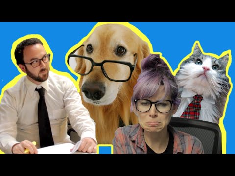 WHAT IF WE TALKED TO OUR COWORKERS LIKE WE TALK TO OUR PETS