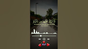 ولو يؤاخذ الله الناس بظلمهم | سورة النحل ياسر الدوسري#قران_كريم #تلاوة_خاشعة #راحة_نفسية #quran