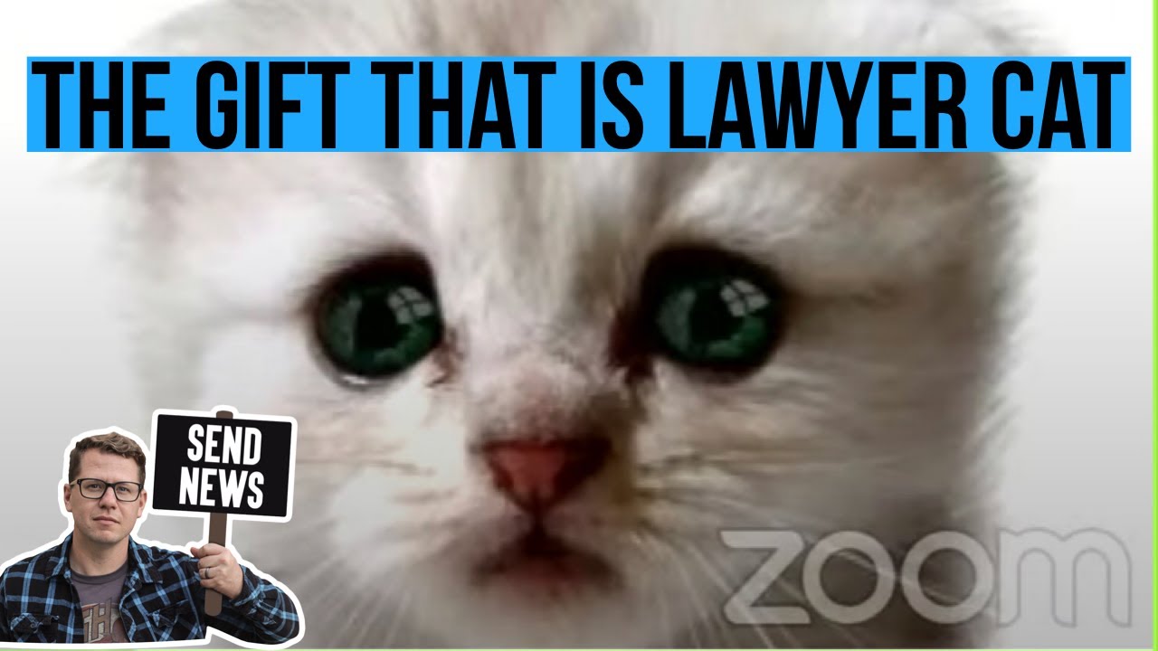 Lawyer leaves a cat filter on his Zoom call and it's gift for all of us