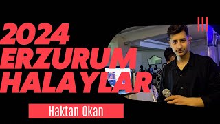 Haktan Okan - Halaylar ( Yar Diline - Gele Gide - Senden Vazgeçtim ) Resimi