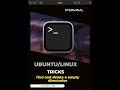 Linux/Ubuntu Tricks 💡 #63 #shorts - Find and delete empty directories