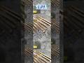 Luxury Look with PVD Gold Pipes – Perfect for Modern Homes! #ytshorts #shorts #lpi #interiordesign