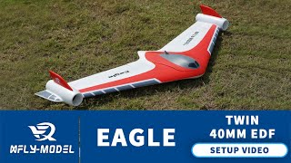 XFly Eagle Twin 40mm EDF Setup + Flight