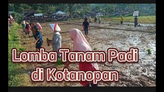 LOMBA TANAM PADI DI KOTANOPAN