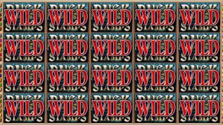 Slots Tragamonedas Online DUCK STAMPS