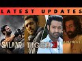 Cinema Updates : Salaar vs Dunki | Bhagavanth Kesari | Tiger-3 | Animal | Ustaad bhagat singh |