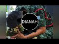 Zingtun Amei - DIANAH WUNGSEK Mp3 Song