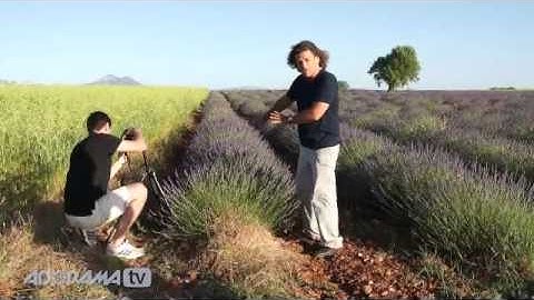 Windy Landscape Ep 311: You Keep Shooting with Bryan Peterson:  Adorama Photography TV