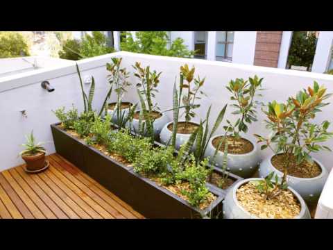 rooftop-garden-at-home-design-ideas