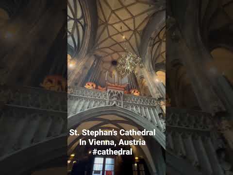 St. Stephans Cathedral In Vienna. Cathedral Vienna Ststephanscathedral Travel Explore