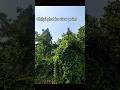 #ekmotahathighumechala chilpi ghat ka view point #@Rajkumarvlogs-o3d1s