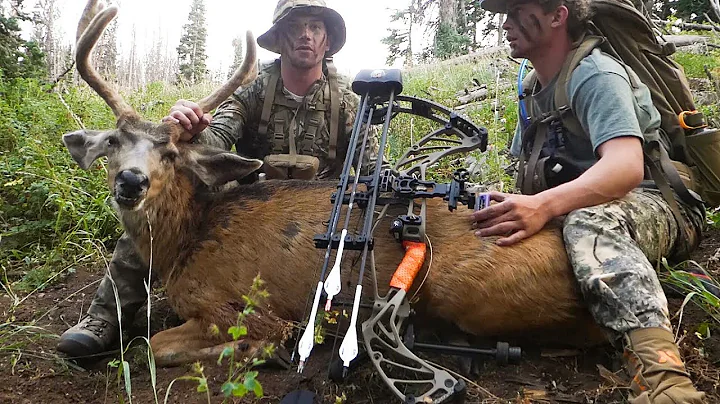 2018 Utah Archery Mule Deer Public Land Hunt