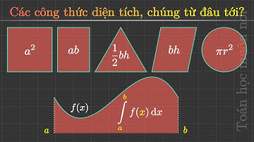 Các công thức tính diện tích, chúng từ đâu tới? | The Origins of Area Formulas