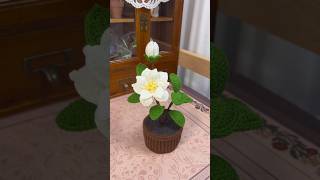 How to crochet flower pot ~part 7 #crochet #crochetpatterns #crochetflowers