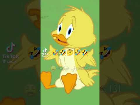 ٢٩ يونيو ٢٠٢٥