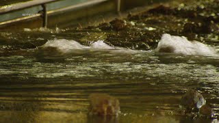 Water Main Break Floods Streets, Closes Road in Woodland Hills