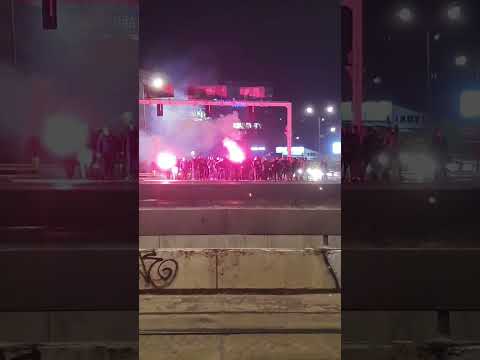 Delije sever - YouTube