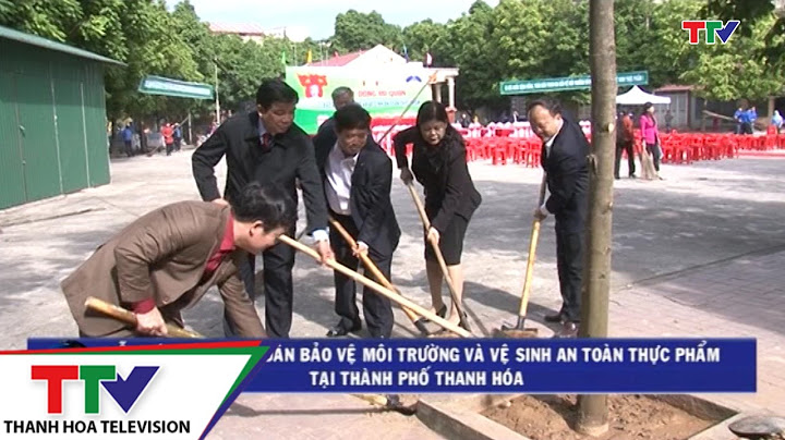 Công ty cổ phần môi trường và ctđt thanh hóa năm 2024