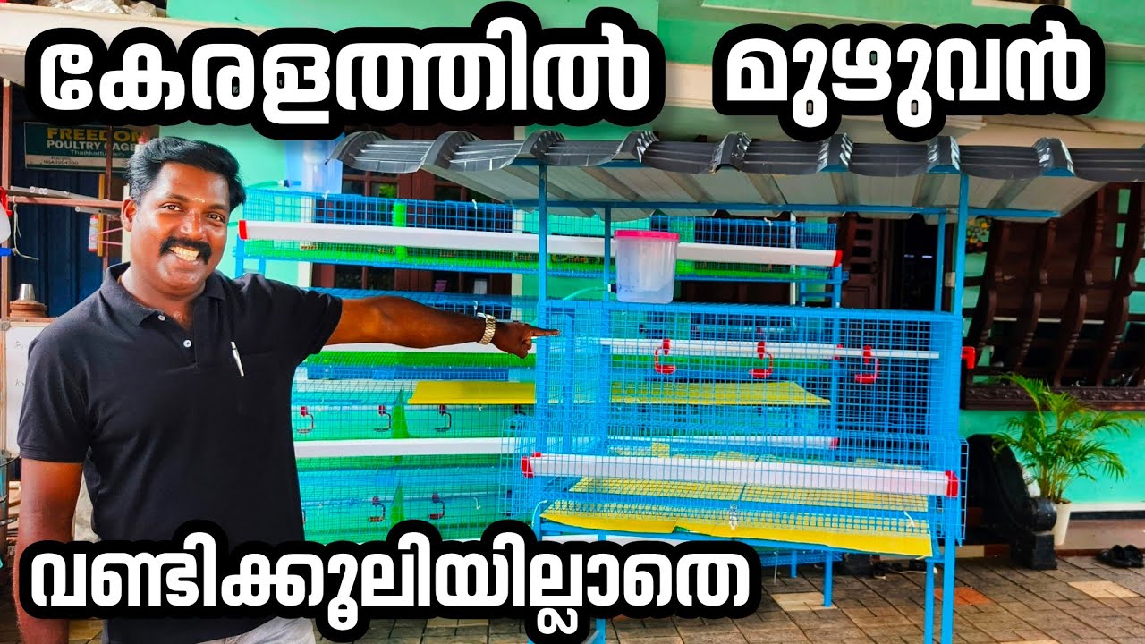 Hi Tech കോഴിക്കൂട് സൗജന്യമായി കേരളത്തിൽ എവിടെയും എത്തിച്ചുതരും // Freedom Free Delivery Offer //