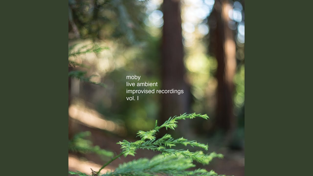 Live Ambient 1 - YouTube Music