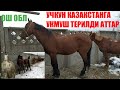 ДЫЙКАНДАР КӨП КЕЛДИ УЧКУН БАЗАРДА ЧОҢ БАЗАР 29/12/2019