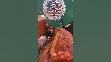 Why Cedarwood Smells So Good