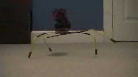 B.E.A.M. Walker 01 by Brett Hemes (Vintage Video)