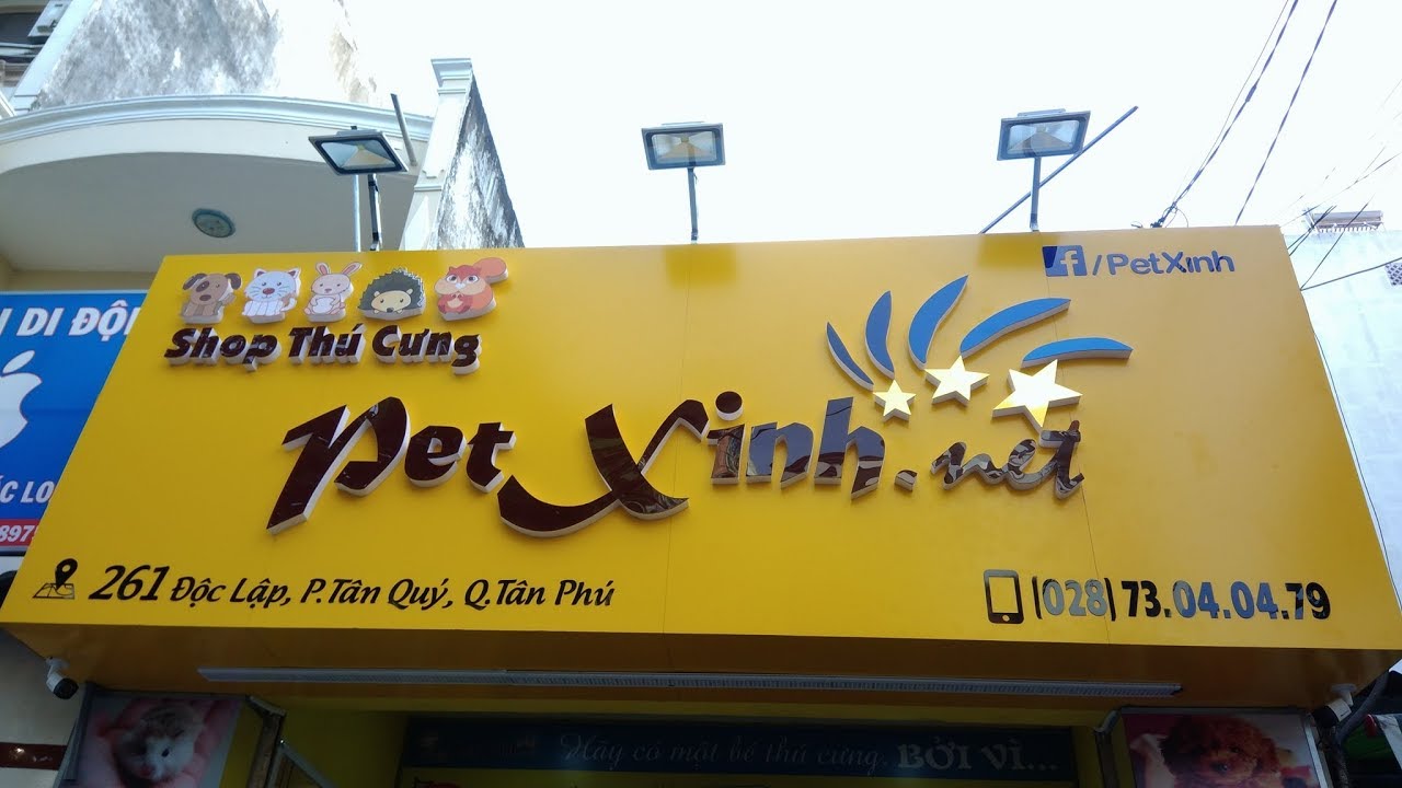 thu cung hcm 2022 New Cửa hàng thú cưng PetXinh.net Cơ Sở 2 (Tân Phú)