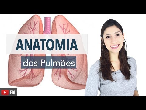 Vídeo: Como Funcionam Os Pulmões Humanos