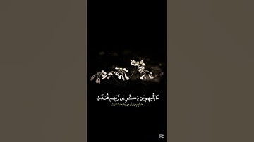 لنتمشى ونستمع🎧🚶‍♂️… اكتب شيء تؤجر عليه… #قرآن_كريم #قران #ذكر_لله #سورة_الأنبياء #ابراهيم_الجبرين