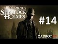 The Testament of Sherlock Holmes - Часть 14 (Истина где-то рядом)