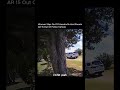 Woman Realized She Messed Up After Running Over a Cop