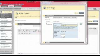 Adding Image in Text Box Editor in Blackboard