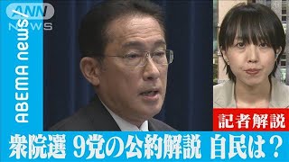 自民党公約　経済政策に一番の力点【記者解説】(2021年10月16日)