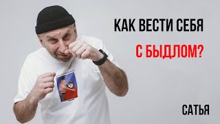 видео: Сатья. Правила поведения с быдлом картинка: Сатья. Правила поведения с быдлом