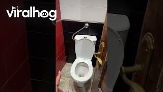 Awkward Toilet Situation || Viralhog