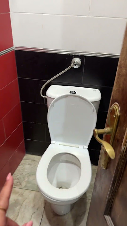 Awkward Toilet Situation || ViralHog