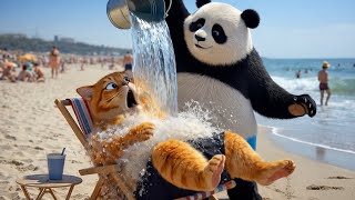 The Panda Is Bothering The Orange Cat. Lets See What The Cat Does.