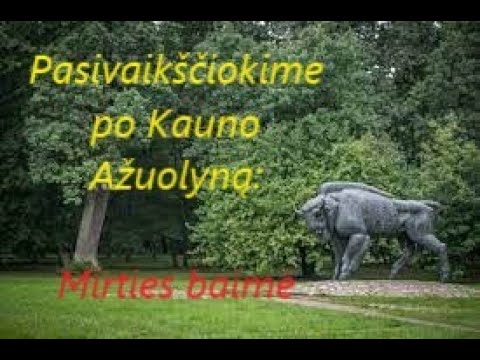 Video: Mirties Baimė Prieš Gyvenimą