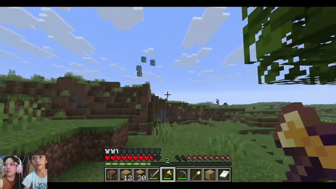 Minecraft / Non Gamer Mom Tries Minecraft for the First Time- Day 1 #minecraft  #minecraftbuilding 