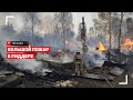 Лес и дома горят около города Риддер в ВКО! Видео очевидцев