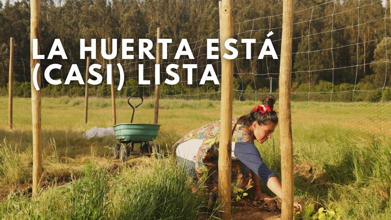 La huerta está (casi) lista | Un día de planes que nunca Pasaron