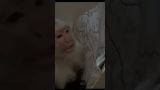 Food Delivery #funny #short #shortsfeed #viral #lol #food #wow #comedy #tips #crazy #viralvideo