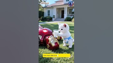 Mèo con giúp Iron man đã nhận được món quà #funny #meow #cats #cat