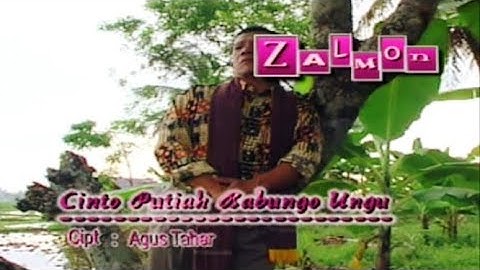POP MINANG LEGENDARIS - ZALMON CINTO PUTIAH BABUNGO UNGU -  CIPT : AGUS TAHER♥️♥️